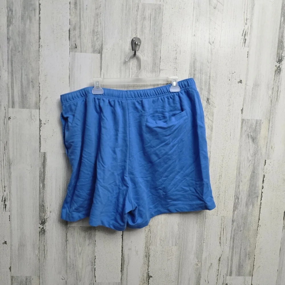 The North Face Mens Blue Shorts Size XL